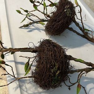 2 Large Bird Best Sprays